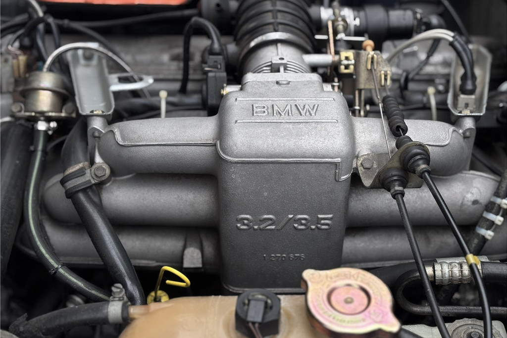 49926824-7.jpg