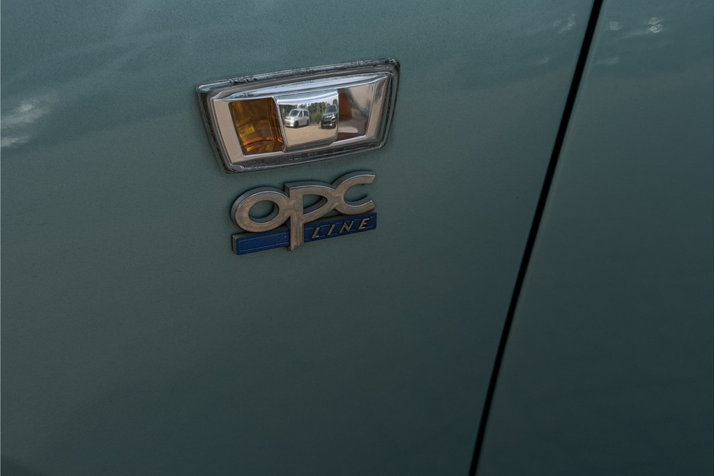 55586441-5.jpg